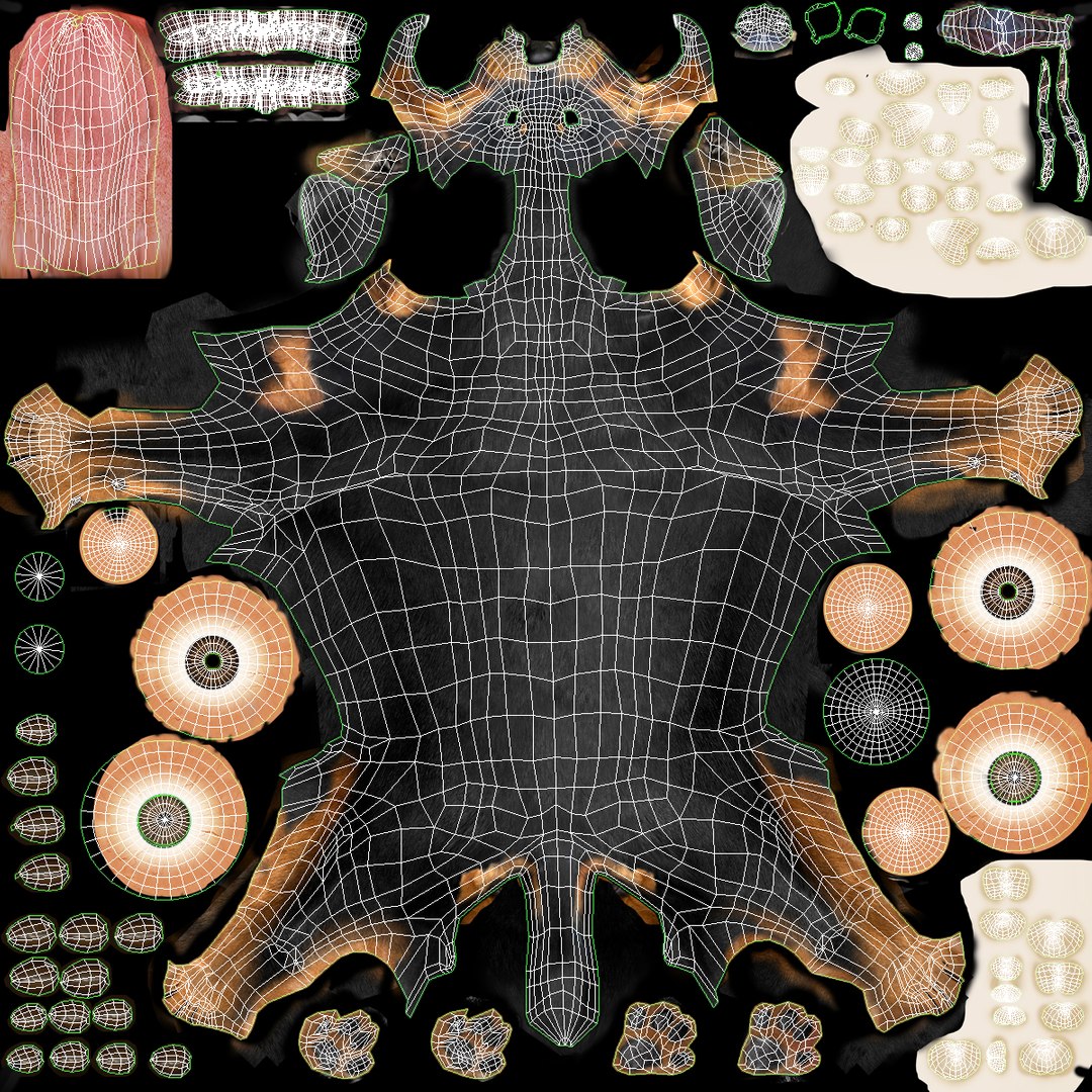 rottweiler rigged max https://p.turbosquid.com/ts-thumb/jq/S2dwbE/ltp2iG6c/rottweilerrigged_298/jpg/1415828607/1920x1080/fit_q87/bfbb232b9fbd0a1fced54574867b621fa8af14d5/rottweilerrigged_298.jpg