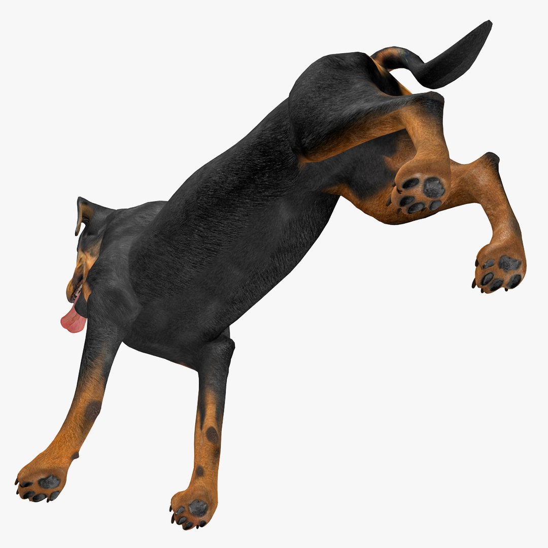 rottweiler rigged max https://p.turbosquid.com/ts-thumb/jq/S2dwbE/uKzrnOcW/rottweilerrigged_315/jpg/1415828627/1920x1080/fit_q87/d18a4cd8a9b5c0001eb7669059873487099387ef/rottweilerrigged_315.jpg