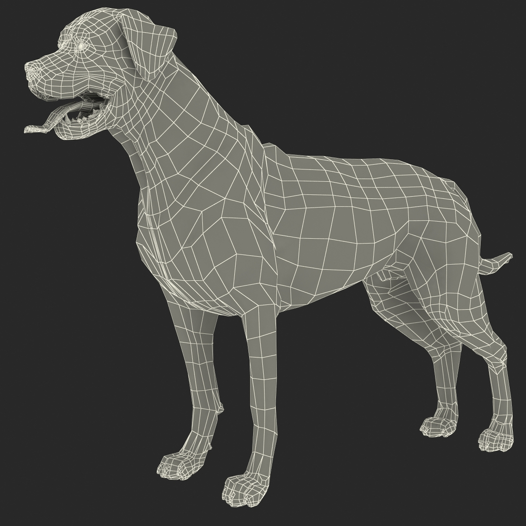 rottweiler rigged max https://p.turbosquid.com/ts-thumb/jq/S2dwbE/vWAIWT2X/turntablefile_361/jpg/1415828084/1920x1080/turn_fit_q99/c97a0da954b47e6a21f42f3d9f7bbbba59f8235c/turntablefile_361-1.jpg