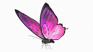 3D butterfly rigged