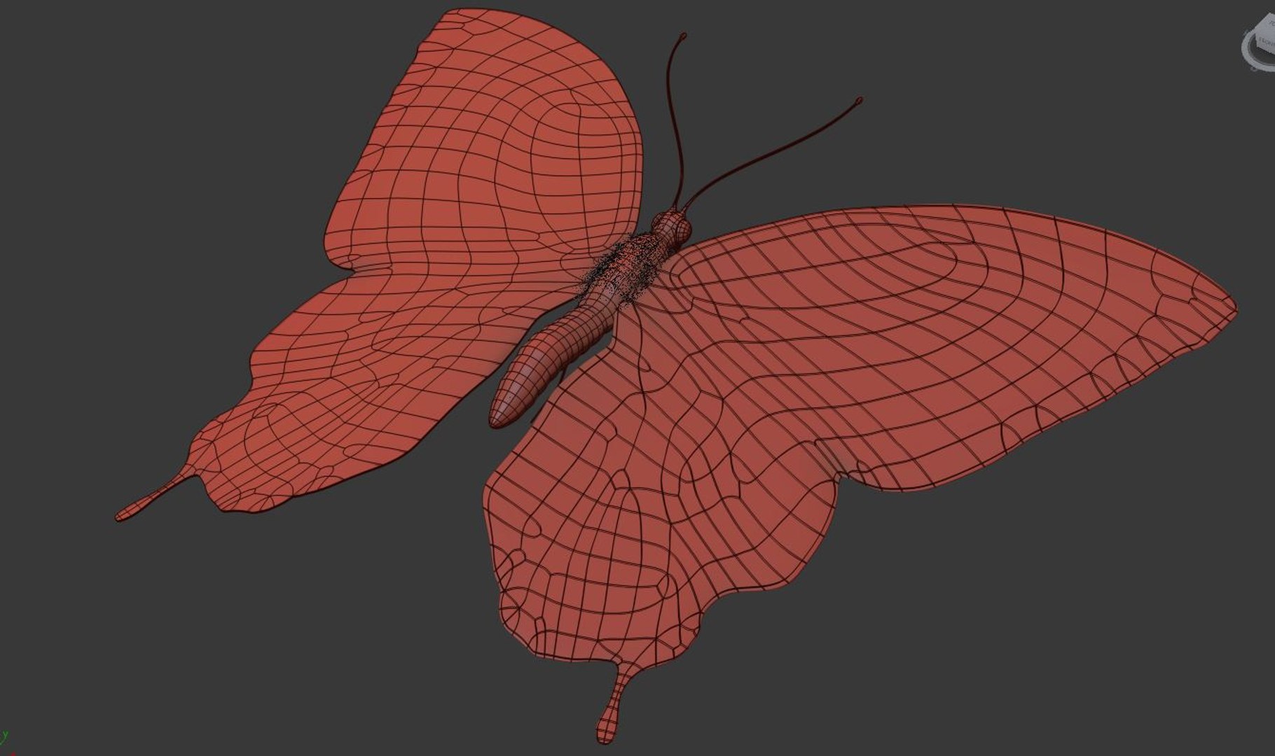 3D butterfly rigged https://p.turbosquid.com/ts-thumb/jq/iP6nBh/XunngjvB/zedge3/jpg/1555330818/1920x1080/fit_q87/e5f0af93f457c84b0e3d03f97ae30ed7867d3329/zedge3.jpg