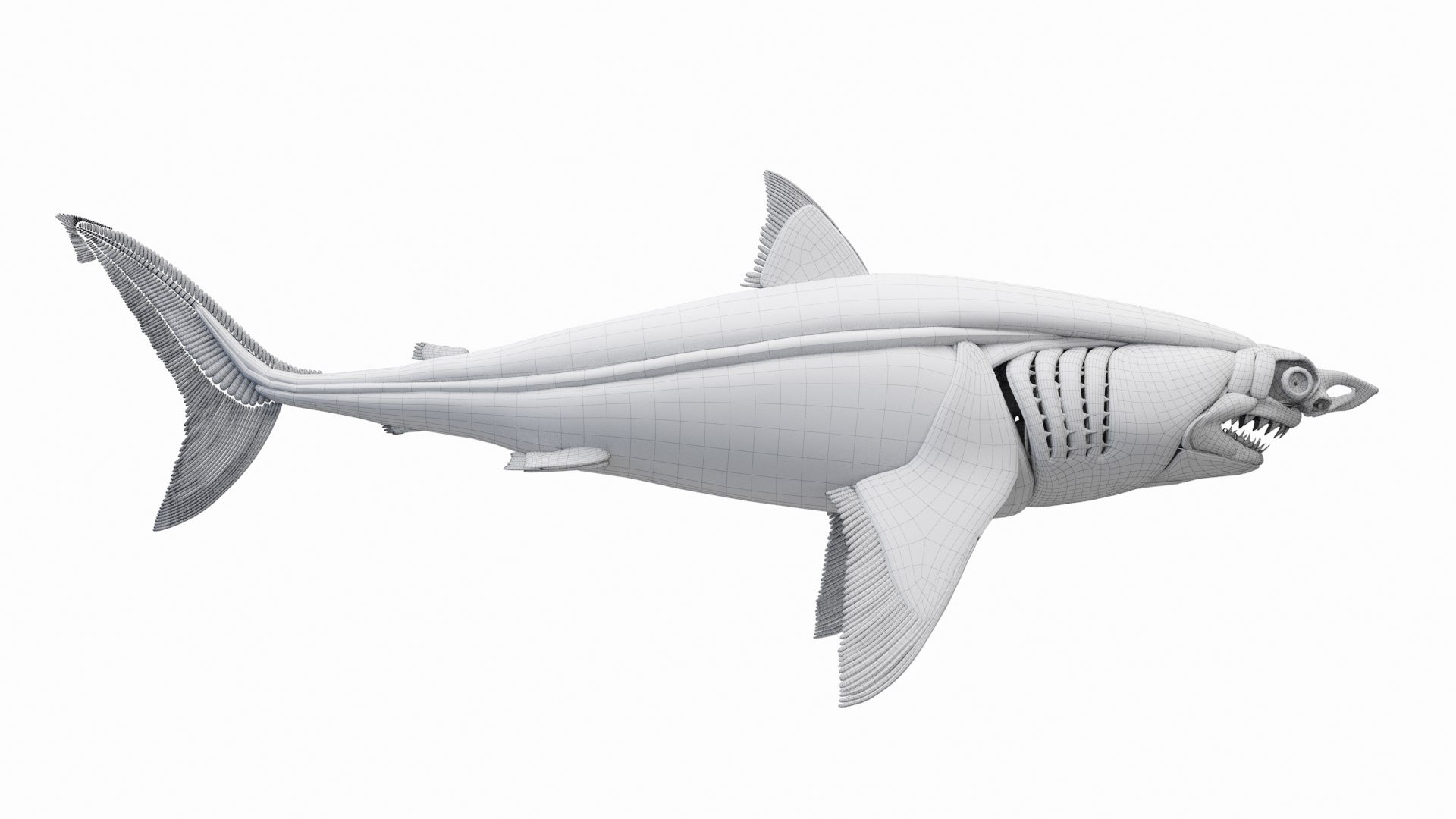 Dolphin Shark and Whale Collection 3D model https://p.turbosquid.com/ts-thumb/jq/nJKsBe/Wl/great_white_shark_anatomy_wire_a1f0003/jpg/1689441840/1920x1080/fit_q87/a8af7913de8a6b13385ee5619c5a7d7fd676f706/great_white_shark_anatomy_wire_a1f0003.jpg
