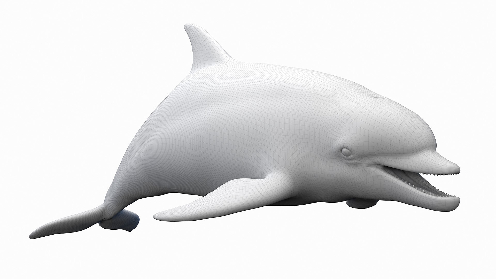 Dolphin Shark and Whale Collection 3D model https://p.turbosquid.com/ts-thumb/jq/nJKsBe/zu/bottlenose_dolphin_wire0000/jpg/1689411113/1920x1080/fit_q87/fdae248241e8449deeaa9a5e09e472750101dd64/bottlenose_dolphin_wire0000.jpg