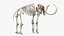 3D model Mammoth Skeleton Clean Bones