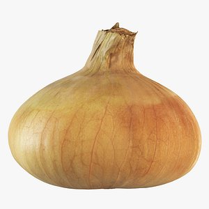 3D 4K Onion model