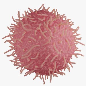 Epithelial cell