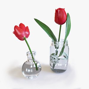 tulips pots 3D