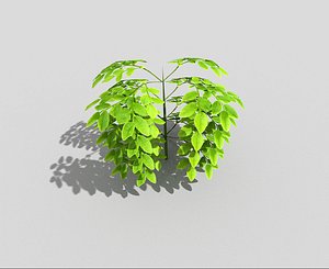 flower landscape 3d model