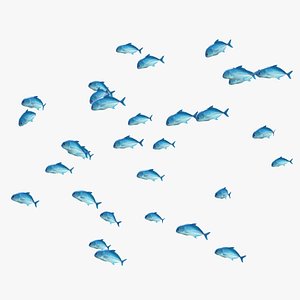 Schooling Caranx Fish