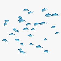 Schooling Caranx Fish