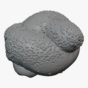 3D Knot Roll - For 3D Print