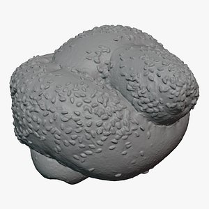 Knot Roll - For 3D Print