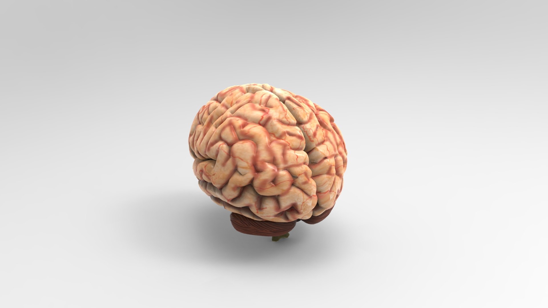 Brain Max Free