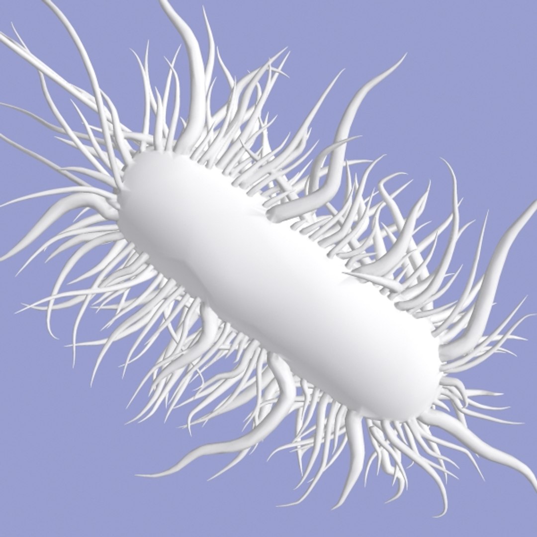 Max E Coli