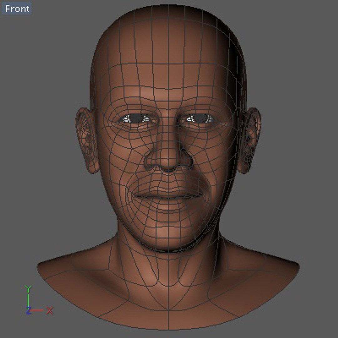 3d Democratic Barack Obama Head Model