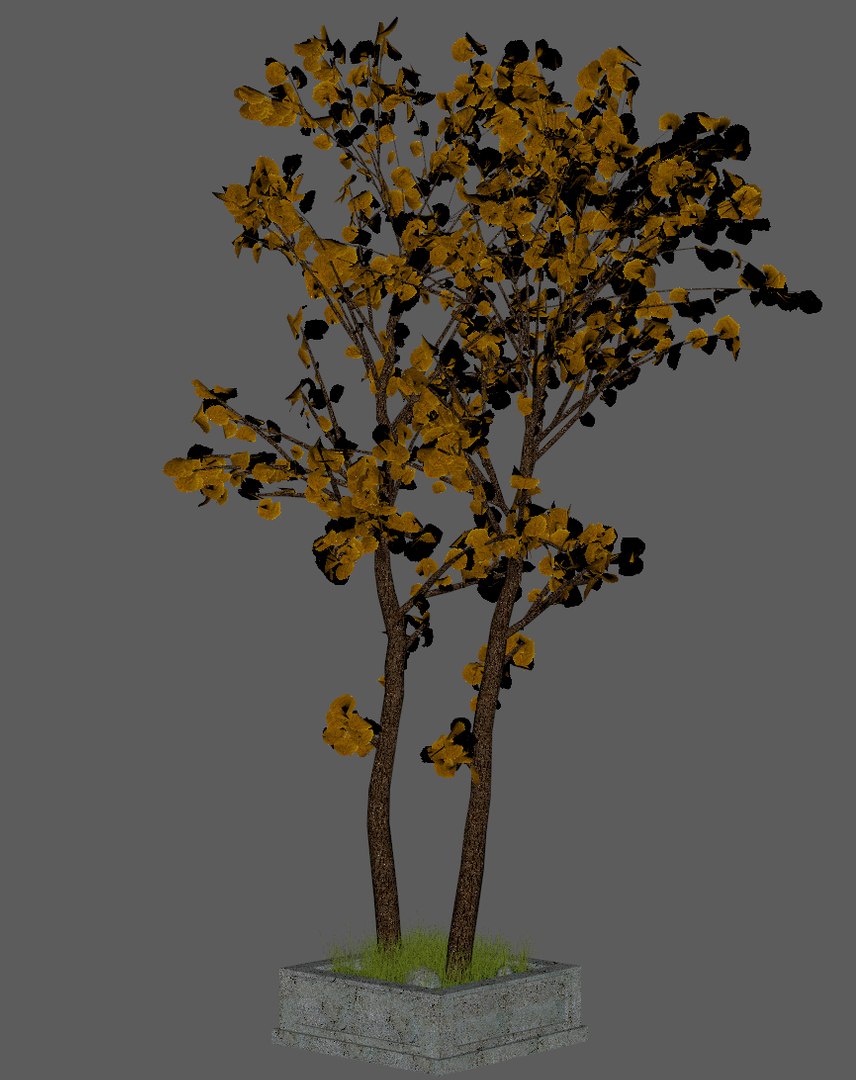 Tree autumn 3D model - TurboSquid 1238641