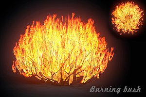 burning bush forest tree 3D model