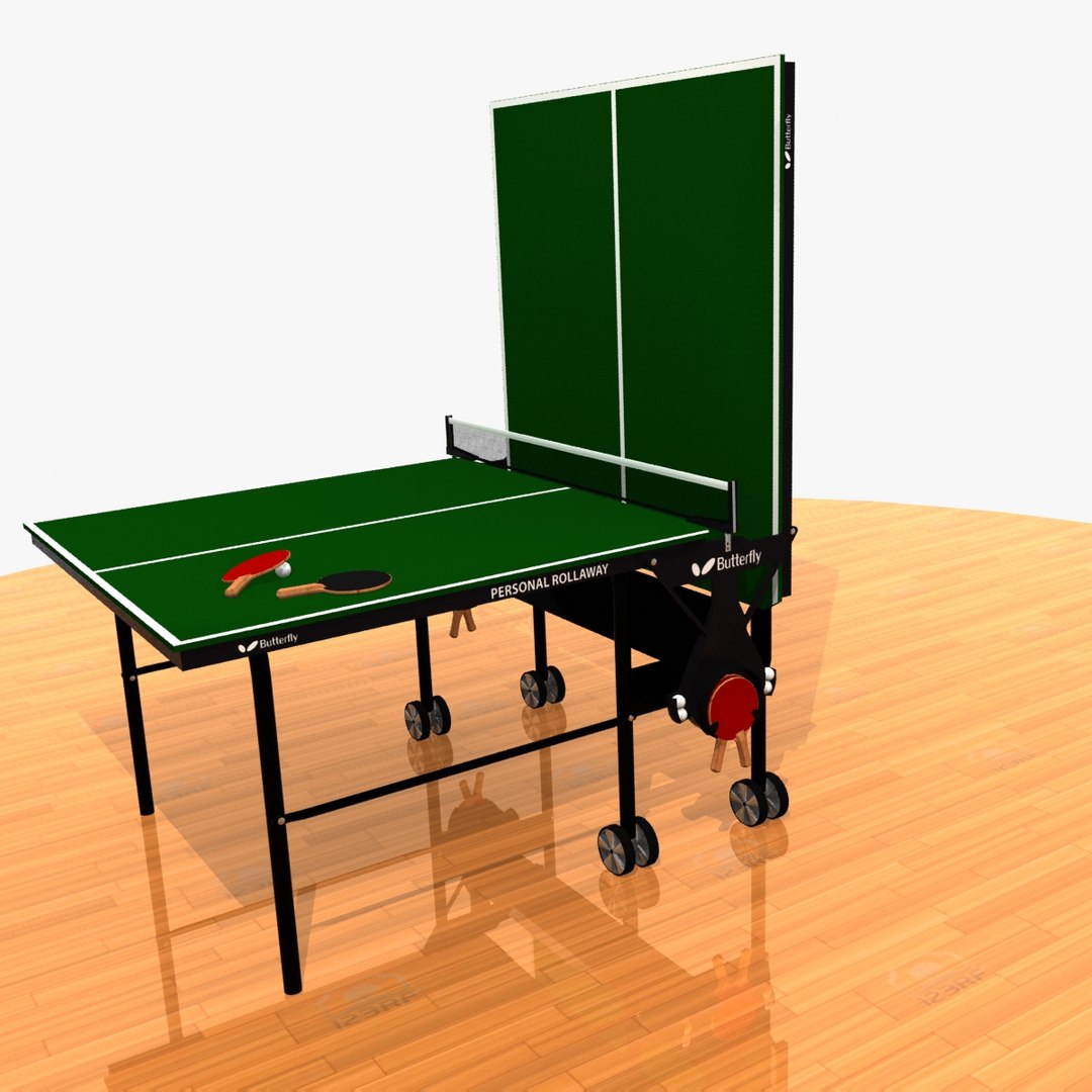 Folding Table Tennis Set 3d Model