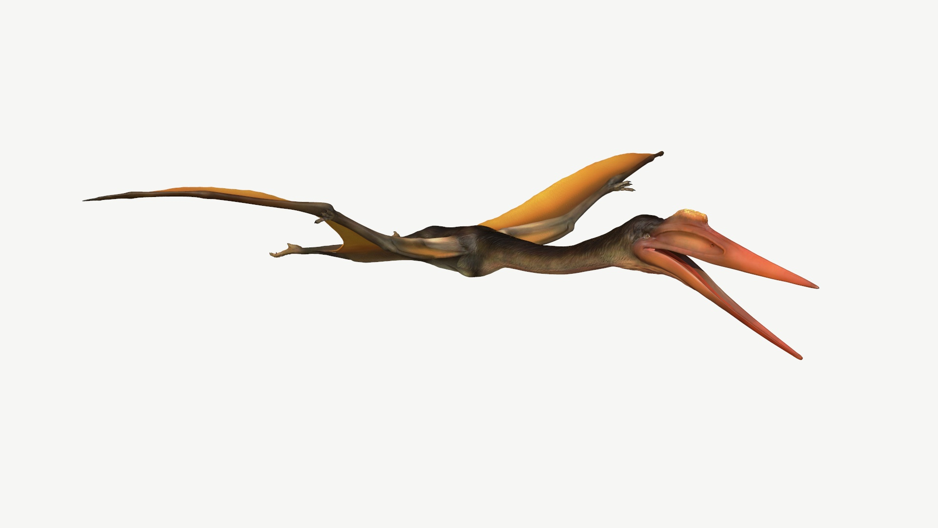 Pterodactyl Transparent Pelican - Quetzalcoatlus Head, HD Png Download - vhv