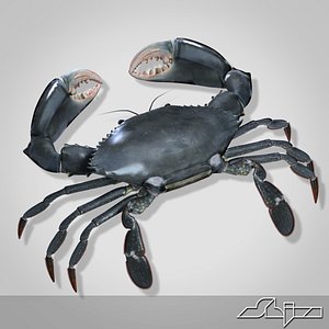 3ds max crab modeled