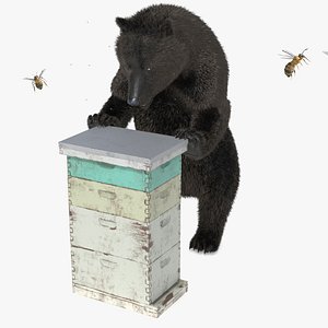 Dark Brown Bear Raiding Beehive Fur 3D model