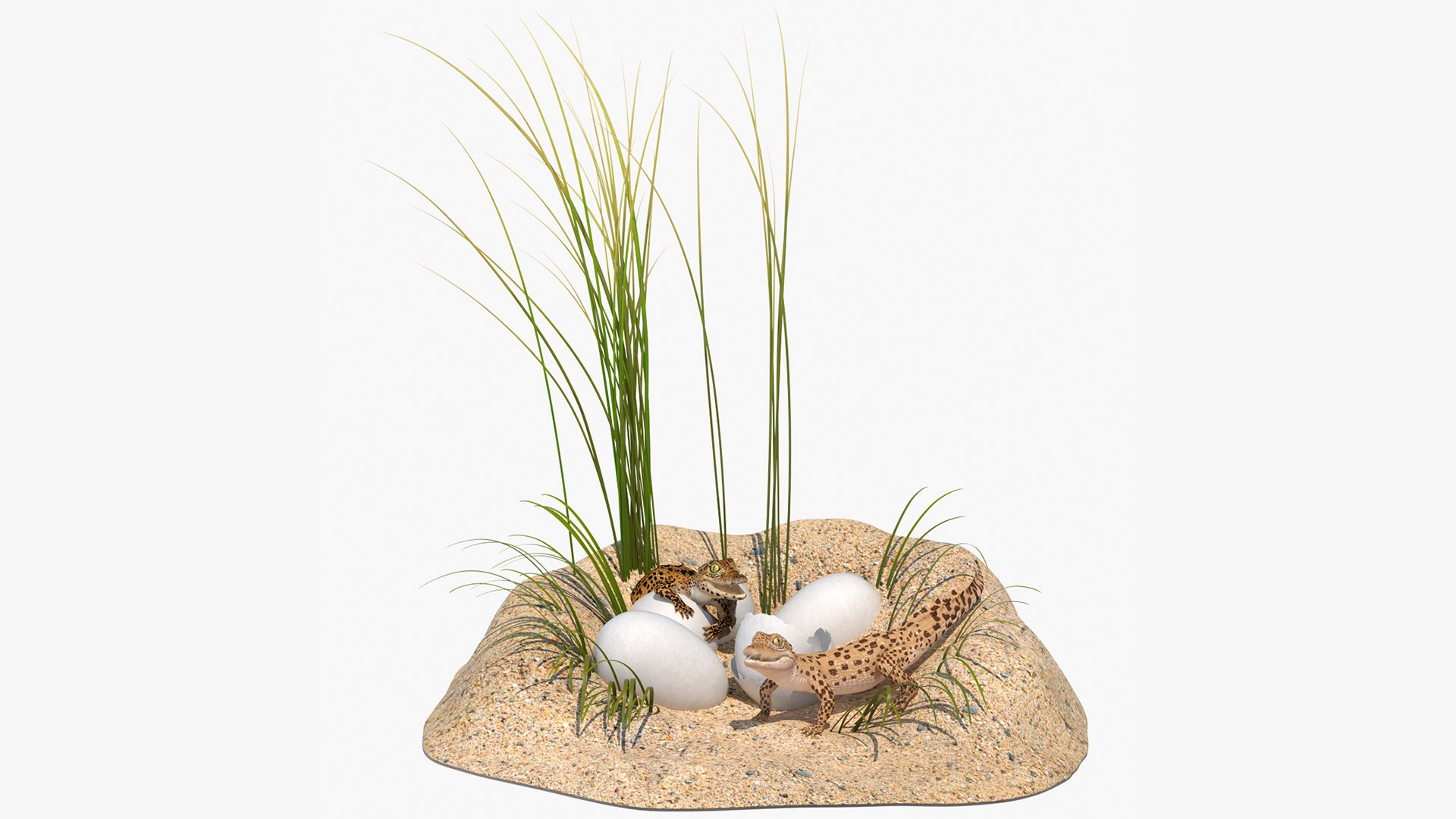 Baby Crocodiles Nest 3D model preview