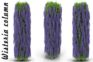 Wisteria column