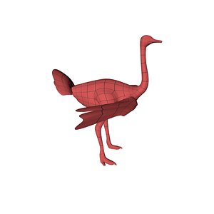 base mesh ostrich 3d model