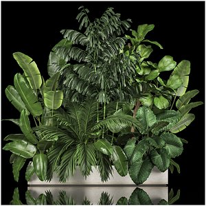 Flowerbed Of Plants With Tropical Thickets 1113 model
