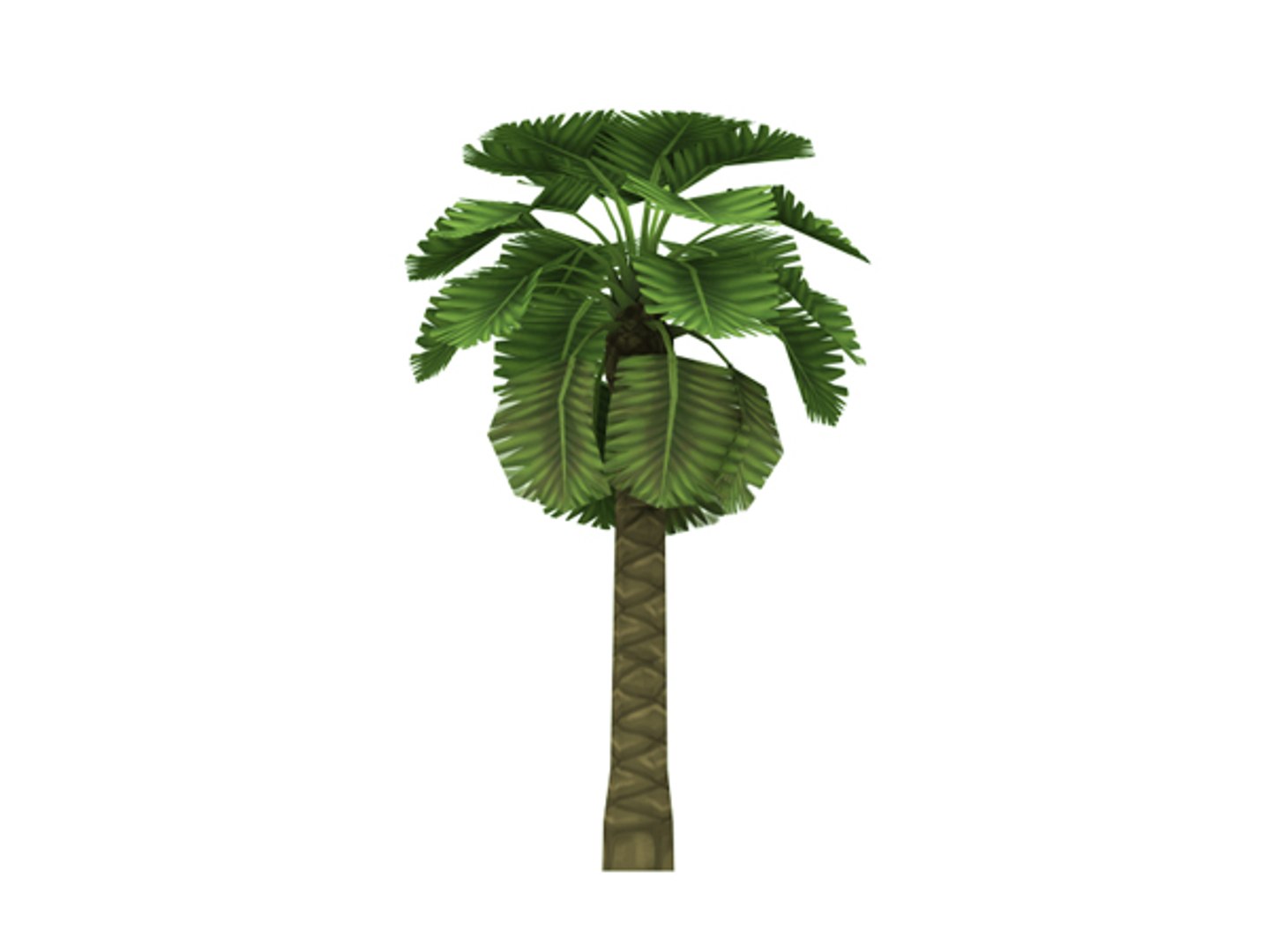 palm tree 3d model https://p.turbosquid.com/ts-thumb/js/dLnxjR/16u82aMa/palm4prev3/jpg/1392517579/1920x1080/fit_q87/83dab3ca8b6a7aab98c3d9ed6fee3a1650cd8d51/palm4prev3.jpg