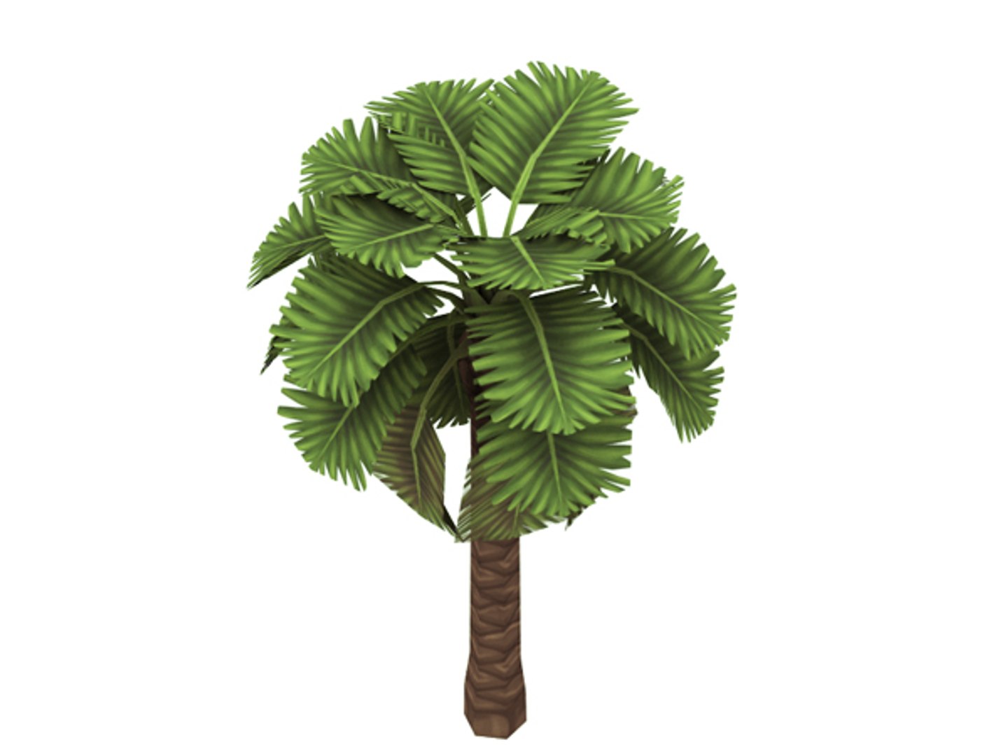palm tree 3d model https://p.turbosquid.com/ts-thumb/js/dLnxjR/nE7vbLNc/palm4prev2/jpg/1392517191/1920x1080/fit_q87/02293df338fc23d01209c1136f18de6255571f26/palm4prev2.jpg