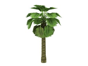 Cartoon palm