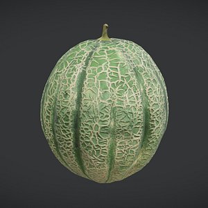 3D Fruit Muskmelon Low Poly