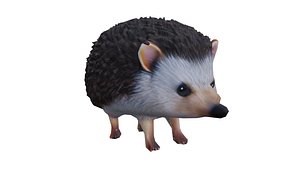 Hedgehog Low-poly