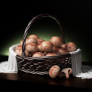 fruit and vegetable x5