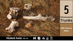Photoscanned Trunks Tree