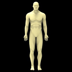 Realistic Male