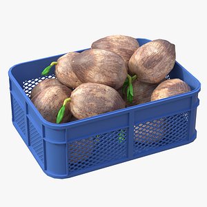 3D model Coconut sprout Plastic Crate