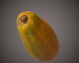 3D papaya