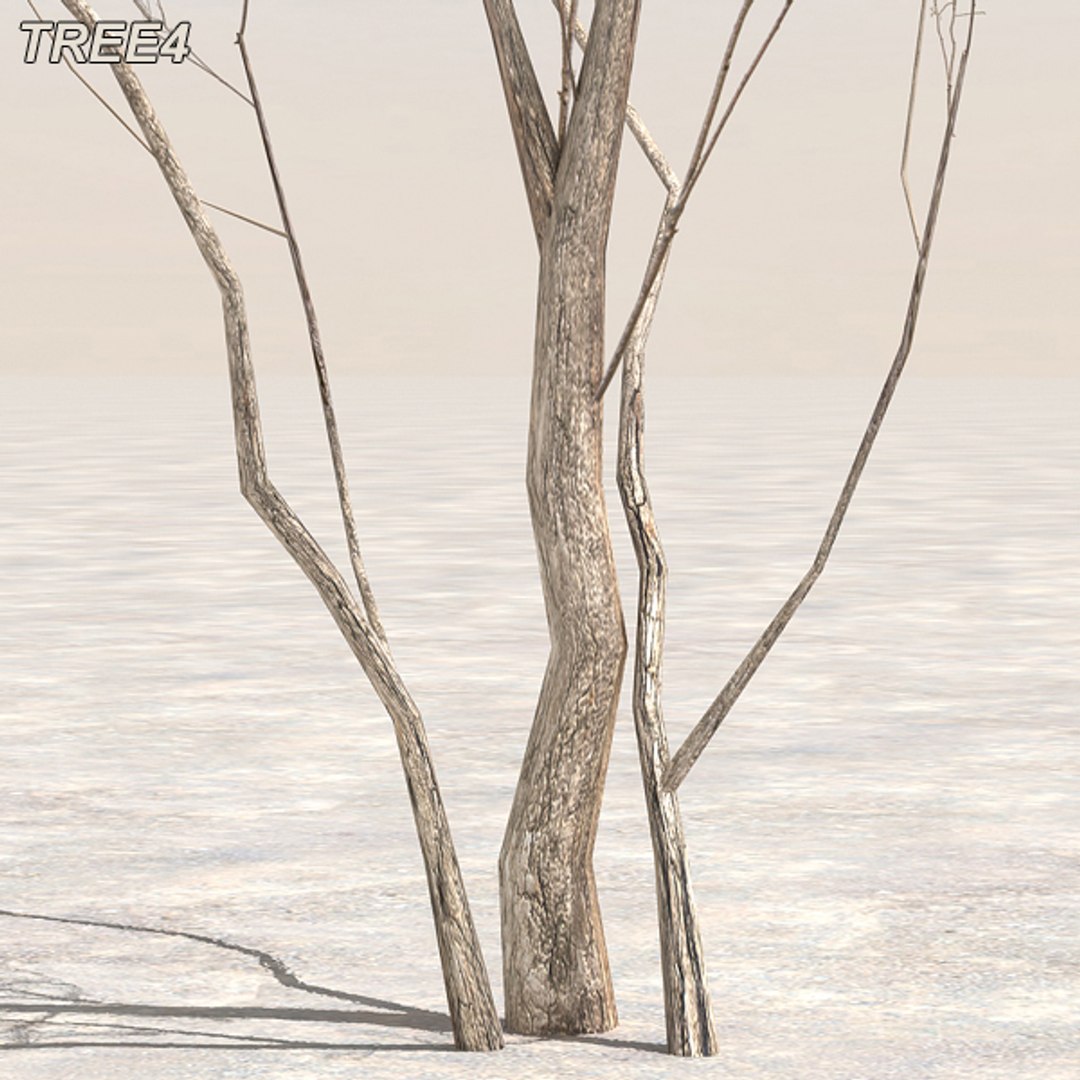 tree afghanistan c4d https://p.turbosquid.com/ts-thumb/jt/2dngwl/0kYxZfbp/tree4_08/jpg/1330385939/1920x1080/fit_q87/7076a991410de9eb174186a3b76ce32e77f85e50/tree4_08.jpg