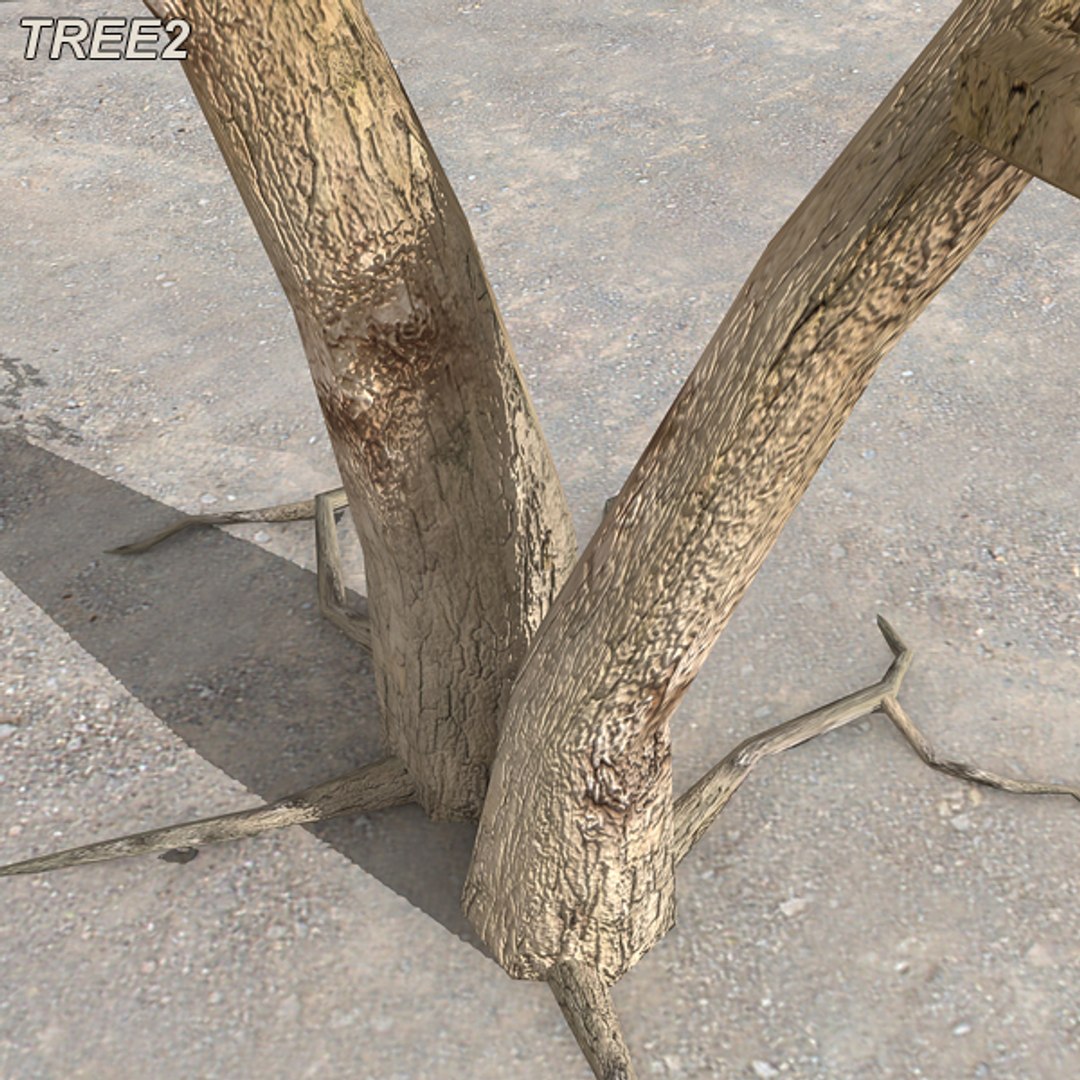 tree afghanistan c4d https://p.turbosquid.com/ts-thumb/jt/2dngwl/5MjyYa2P/btree14/jpg/1330385938/1920x1080/fit_q87/a03cafd51a5b89cda916afe64b0c2bf3069fd672/btree14.jpg