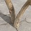 Afghanistan Tree Pack