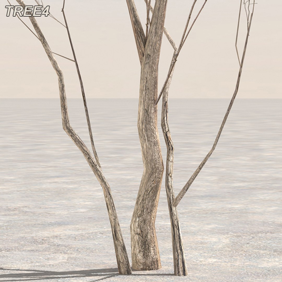 tree afghanistan c4d https://p.turbosquid.com/ts-thumb/jt/2dngwl/7rPUig1d/tree4_09/jpg/1330385939/1920x1080/fit_q87/a65b8cb782100f0f43df463324d7a91a97b7cff4/tree4_09.jpg