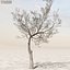 Afghanistan Tree Pack