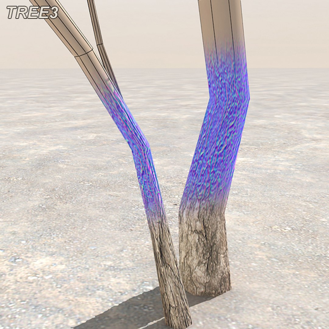 tree afghanistan c4d https://p.turbosquid.com/ts-thumb/jt/2dngwl/CifTIOA6/tree3_13/jpg/1330385939/1920x1080/fit_q87/2dc913424e3bbaab219abdc2936594fefce8632e/tree3_13.jpg