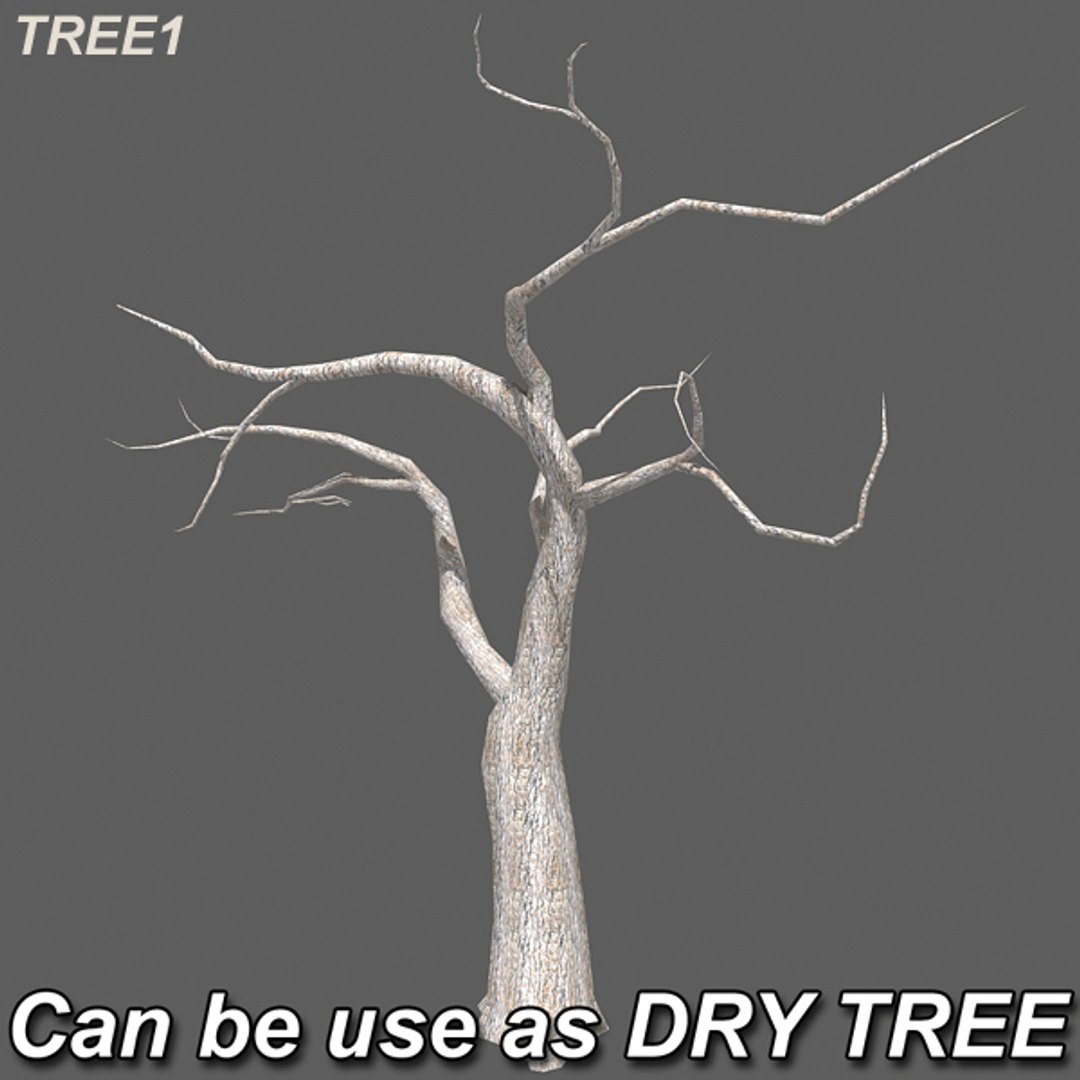 tree afghanistan c4d https://p.turbosquid.com/ts-thumb/jt/2dngwl/EhGnDy1p/atree15/jpg/1330385938/1920x1080/fit_q87/5e51f7355099e495643a10347c850298c8f787ec/atree15.jpg