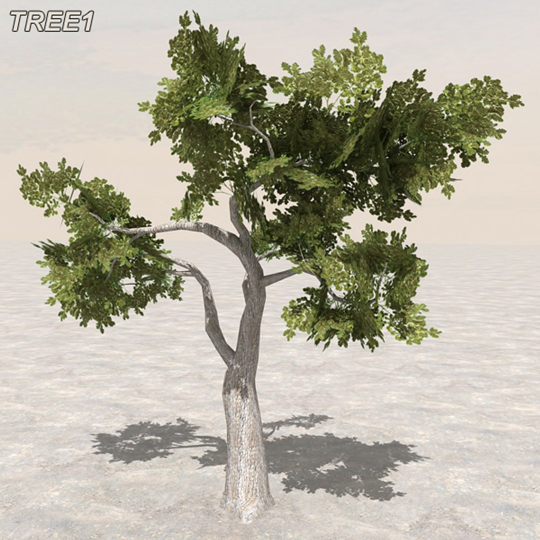 tree afghanistan c4d https://p.turbosquid.com/ts-thumb/jt/2dngwl/JMGx5mZx/atree10/jpg/1330385938/1920x1080/fit_q87/b2aa235674361741a927be40f6399364dd9635ac/atree10.jpg