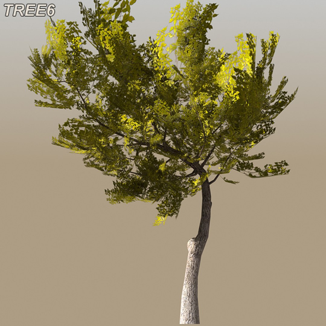 tree afghanistan c4d https://p.turbosquid.com/ts-thumb/jt/2dngwl/M4nUDLVE/tree6_18/jpg/1330385940/1920x1080/fit_q87/15ecf29da54cb64f043548545ebedaae2740cfc2/tree6_18.jpg