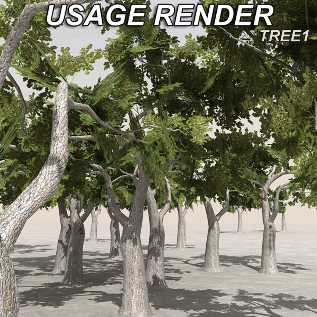 tree afghanistan c4d https://p.turbosquid.com/ts-thumb/jt/2dngwl/Nij4kDU6/atree17/jpg/1330385938/1920x1080/fit_q87/db3510b33978e23d9fcd09acaade9385610a9cc2/atree17.jpg