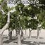Afghanistan Tree Pack